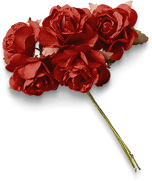 Image is not available