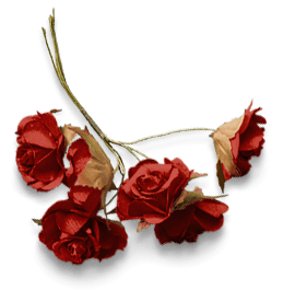 Image is not available